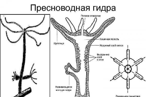 Как зайти на omg